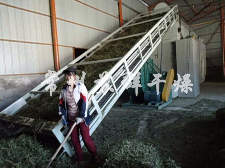 高档饲料牧草烘干机，猫尾草专用烘干机